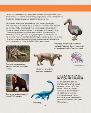 История жизни на Земле. От бактерии до человека фото книги 7
