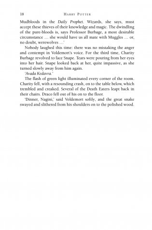 Harry Potter and the Deathly Hallows фото книги 11