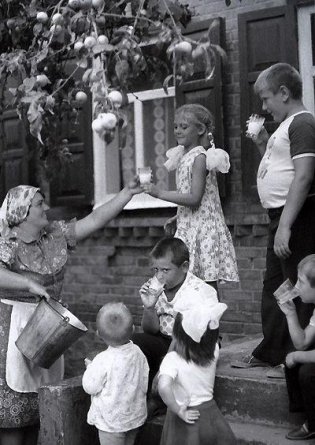 Дорога к дому (+ DVD) фото книги 4