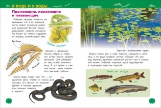 Животные России. Энциклопедия для детского сада фото книги 3