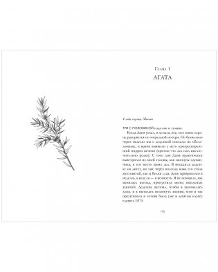 Сердце зимы фото книги 3