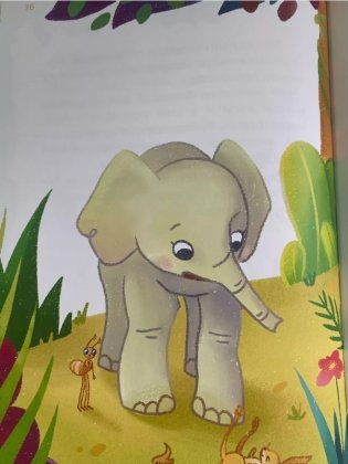 Цаца фото книги 5