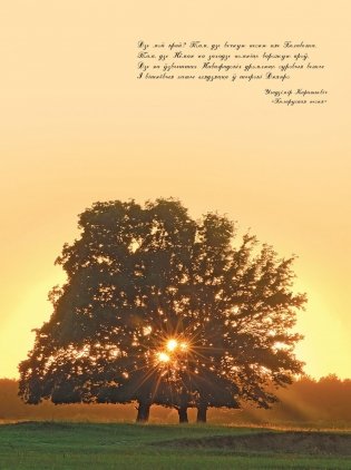 Беларусь. Праз стагоддзі ў будучыню фото книги 5