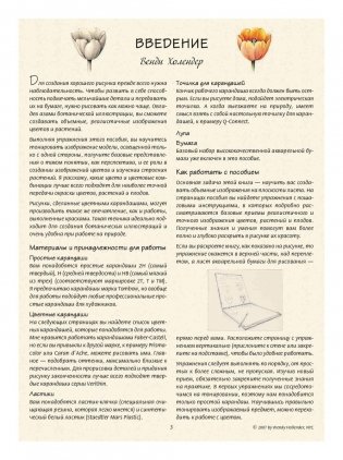 Ботаническая иллюстрация. Обучающий скетчбук фото книги 3