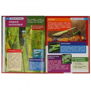 Хищники России. Энциклопедия с развивающими заданиями фото книги 3