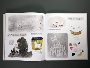 Всё последнее фото книги 7