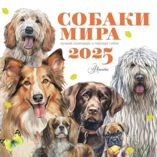 Собаки мира. Календарь для детей на 2025 год фото книги