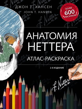 Анатомия Неттера. Атлас-раскраска фото книги
