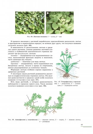 Ботаника фото книги 4