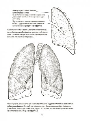 Анатомия дыхания фото книги 10