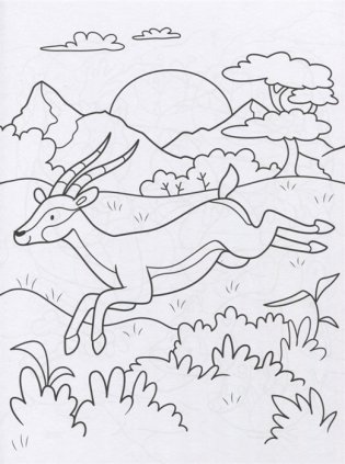 Супер-пупер раскраска. Дикие животные фото книги 2