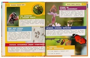 Насекомые Красной книги. Энциклопедия с заданиями фото книги 3
