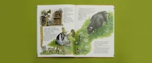 Именинный пирог фото книги 4