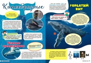 Антарктида. Серия "Мир путешествий" фото книги 6