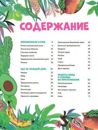 Мексиканская кухня в иллюстрациях фото книги 3