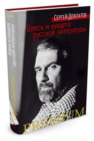 Блеск и нищета русской литературы фото книги