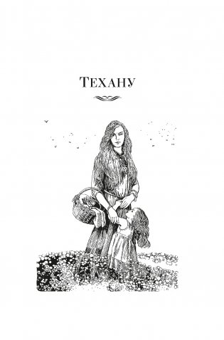 Сказания Земноморья фото книги 3