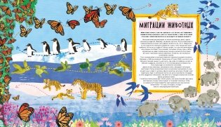 Куда идут пингвины. Маршруты миграции животных фото книги 6