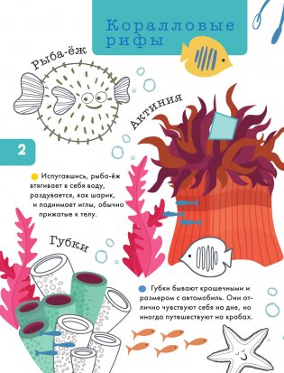 Подводный мир фото книги 3