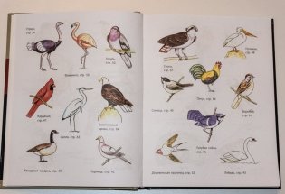 Рисование. Первые шаги фото книги 7