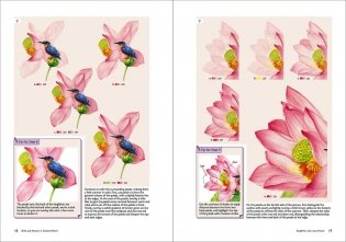 Birds and Flowers in Colored Pencil: Step-by-Step Tutorials and Techniques фото книги 8