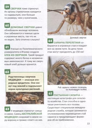 Насекомые. 250 фактов. Энциклопедия российского школьника фото книги 4