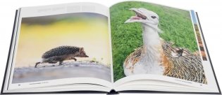 Всемирное наследие России. Книга 2. Природа. Фотоальбом фото книги 3