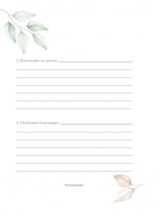 Лови день. Дневник благодарности фото книги 10