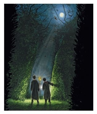 Гарри Поттер и Кубок Огня фото книги 2