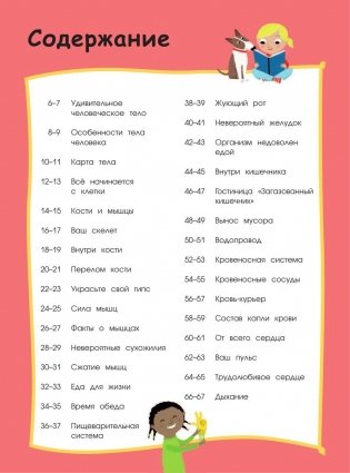 Человеческое тело. Невероятное путешествие вокруг и внутри фото книги 5