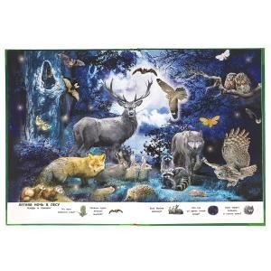 Большая книга о животных. Виммельбух фото книги 3