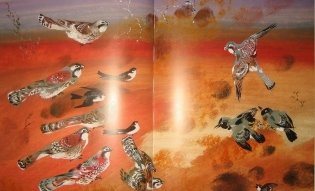 Лесные разведчики фото книги 5