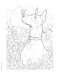 Creative Haven the Dog Lovers' Coloring Book фото книги маленькое 9