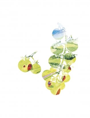 Рецепты Средиземья. Кулинарная книга по миру Толкина фото книги 11