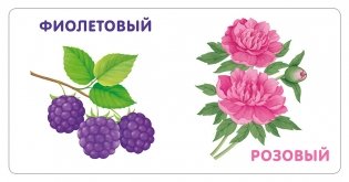 Книжки - картонки. Цвета в природе фото книги 4