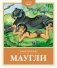Маугли фото книги маленькое 2