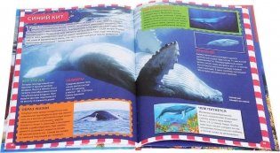 Акулы, киты и дельфины. Детская энциклопедия фото книги 2