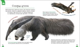 Удивительные животные. Первая энциклопедия фото книги 3