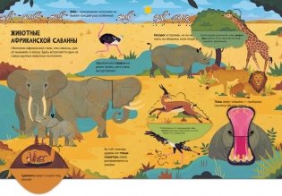Животные. Энциклопедия с окошками фото книги 4