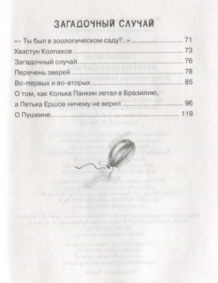 Летят по небу шарики… фото книги 7