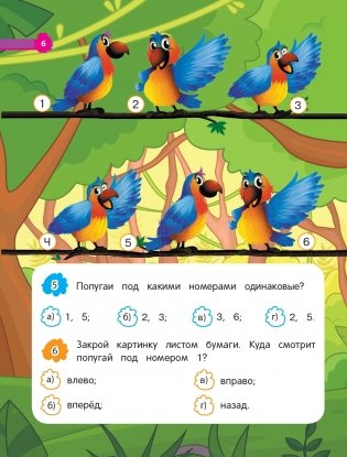 Внимание и память фото книги 6