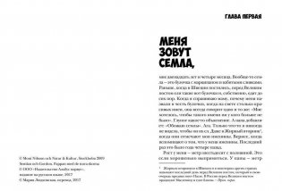 Семла и Гордон: секретное расследование фото книги 2