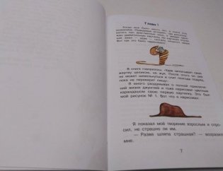 Маленький принц фото книги 4