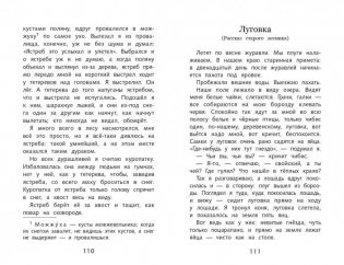 Кладовая солнца фото книги 3