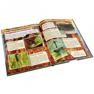 Насекомые фото книги 4