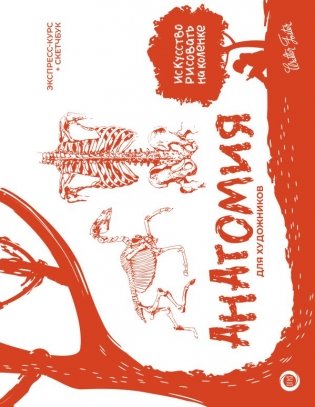 Анатомия для художников. Экспресс-курс + скетчбук фото книги