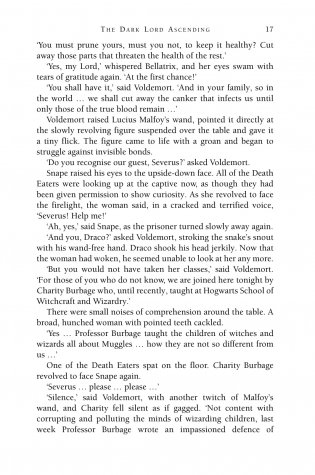 Harry Potter and the Deathly Hallows фото книги 10