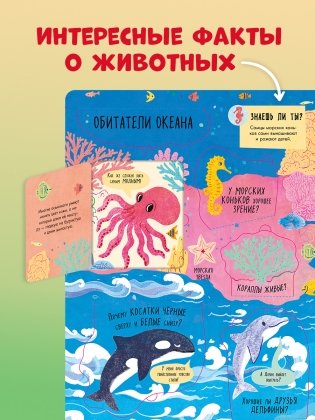 Большая книга с окошками. Животные фото книги 11
