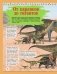 Расскажи мне всё о динозаврах фото книги маленькое 12
