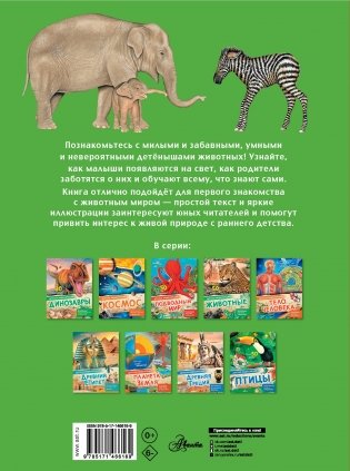 Детеныши животных фото книги 5